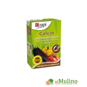 ZAPI INDUSTRIE CHIMICHE SPA - ZAPI CALCIO BIO 100ML