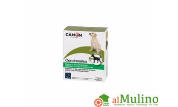 CAMON SPA - CAMON CONDROSALUS 60CPR ++++